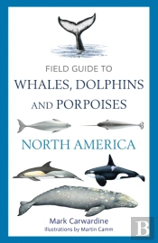 Field Guide To Whales, Dolphins And Porpoises Of North America