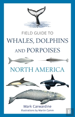 Bertrand.pt - Field Guide To Whales, Dolphins And Porpoises Of North America
