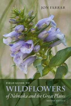 Bertrand.pt - Field Guide To Wildflowers Of Nebraska And The Great Plains