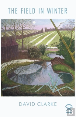 Bertrand.pt - Field In Winter