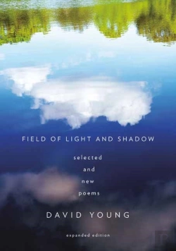 Bertrand.pt - Field Of Light And Shadow