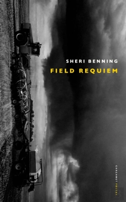 Bertrand.pt - Field Requiem