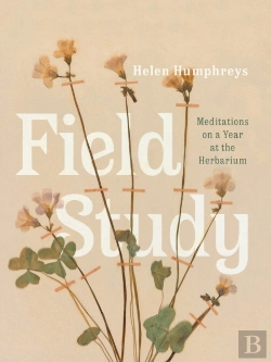Bertrand.pt - Field Study