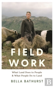 Field Work