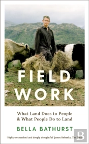 Field Work