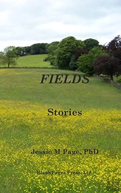 Bertrand.pt - Fields