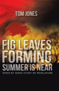 Fig Leaves Forming Summer Is Near