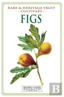 Figs