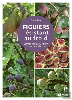 Bertrand.pt - Figuiers Résistant Au Froid : 45 Variétés Adaptées À Chaque Région