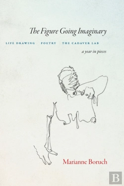 Bertrand.pt - Figure Going Imaginary