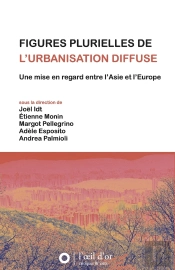 Figures Plurielles De L'Urbanisation Diffuse : Une Mise En Regard Entre L'Asie Et L'Europe