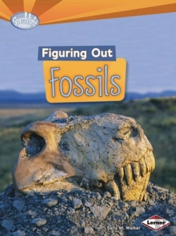 Bertrand.pt - Figuring Out Fossils