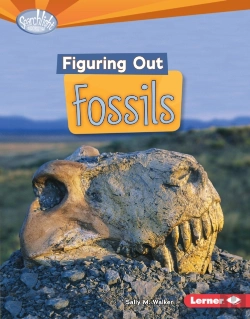 Bertrand.pt - Figuring Out Fossils