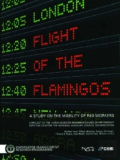 Filght Of The Flamingos