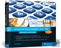 Financial Accounting In Sap Erp