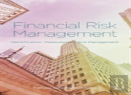 Financial Risk Management