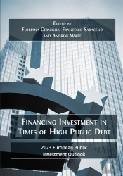 Financing Investment In Times Of High Public Debt