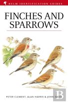 Finches And Sparrows