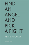 Find An Angel And Pick A Fight