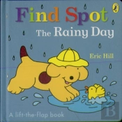 Find Spot: The Rainy Day
