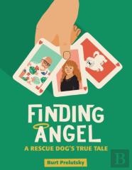 Finding Angel - A Rescue Dog'S True Tale (Hardback)