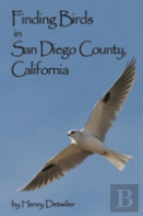 Finding Birds In San Diego County