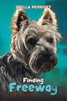 Finding Freeway