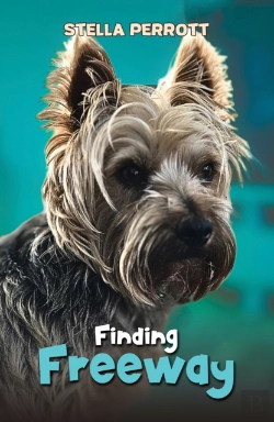 Bertrand.pt - Finding Freeway