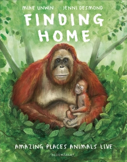 Bertrand.pt - Finding Home
