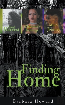 Bertrand.pt - Finding Home Mystery Series