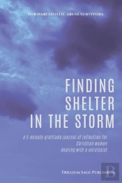 Finding Shelter In The Storm