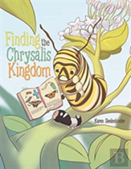 Finding The Chrysalis Kingdom