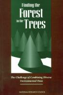 Finding The Forest In The Trees