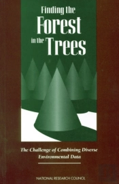 Finding The Forest In The Trees