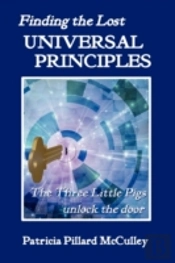 Finding The Lost Universal Principles