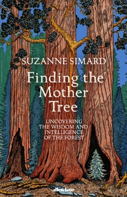 Bertrand.pt - Finding The Mother Tree