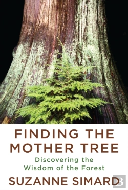 Bertrand.pt - Finding The Mother Tree