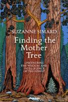 Finding The Mother Tree