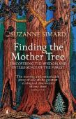 Finding The Mother Tree