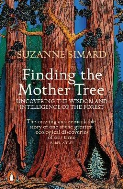 Bertrand.pt - Finding The Mother Tree