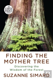 Finding The Mother Tree