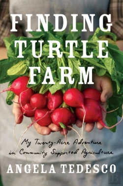 Bertrand.pt - Finding Turtle Farm