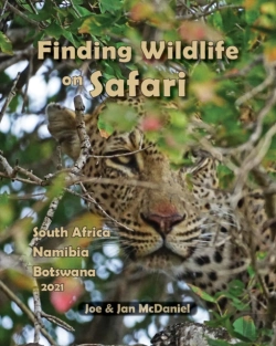 Bertrand.pt - Finding Wildlife On Safari