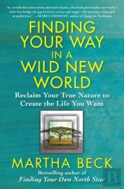 Finding Your Way In A Wild New World