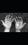 Fingerprint