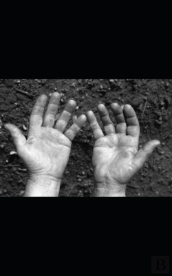 Bertrand.pt - Fingerprint