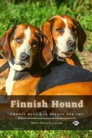 Finnish Hound