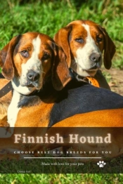 Finnish Hound