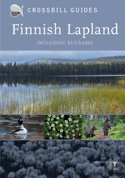 Bertrand.pt - Finnish Lapland