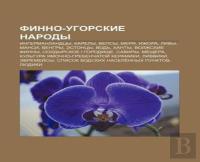 Finno-Ugorskie Narody